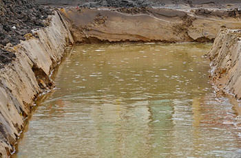 hoher Grundwasserspiegel